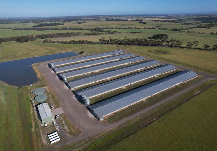 Why Poultry Farm Investment in Turkey Beats UK Property Yields in 2026
