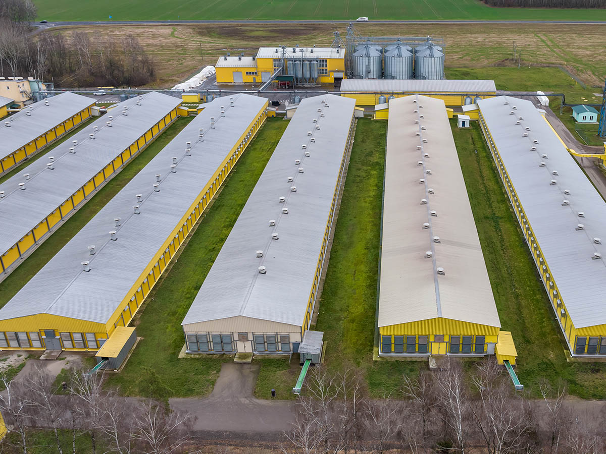 Managed Farm Investment UK in Türkiye 2026 — A Hands-Off Guide for British Investors