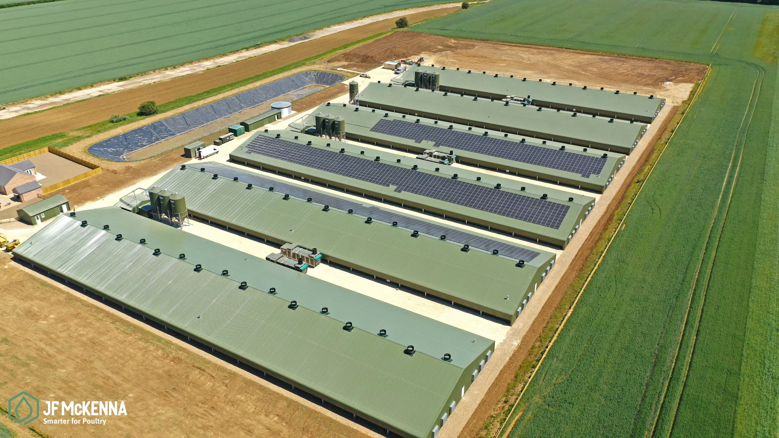 Broiler Production Investment: High-Return Poultry Farming Business Model in 2026 Introduction
