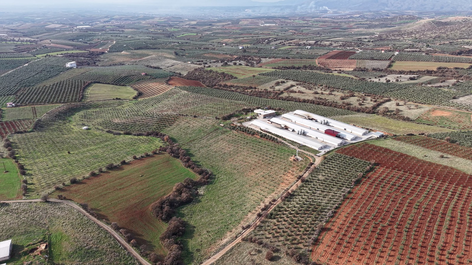 Broiler Production Investment 2026 | High ROI & Solar-Powered Poultry Farming