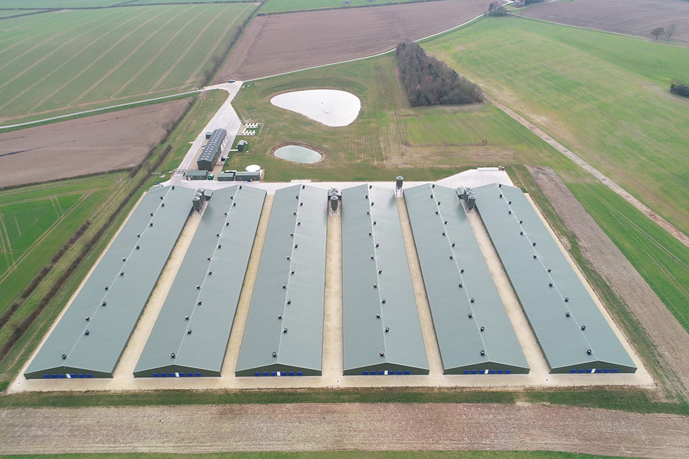 Broiler Production Investment