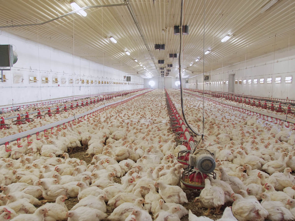 Why British Investors Are Looking to Turkish Agriculture in 2026
